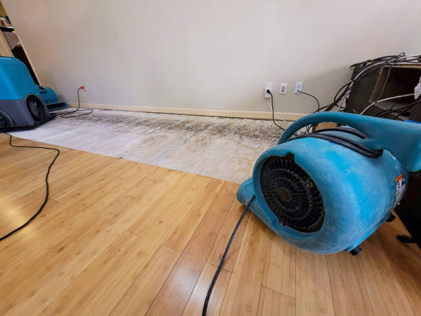 Professional Ceiling Water Damage Repair technician working in Olivet, NJ